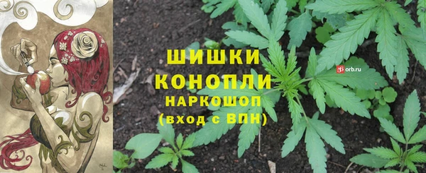 СК Балахна