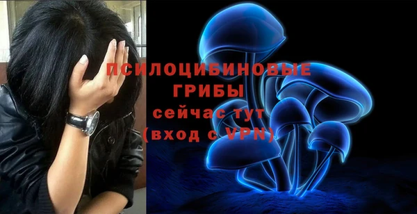 ALPHA PVP Видное