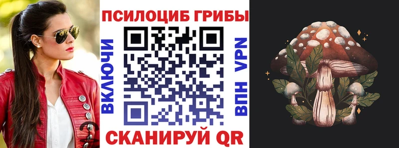 MEGA сайт  Моршанск  Галлюциногенные грибы MAGIC MUSHROOMS 
